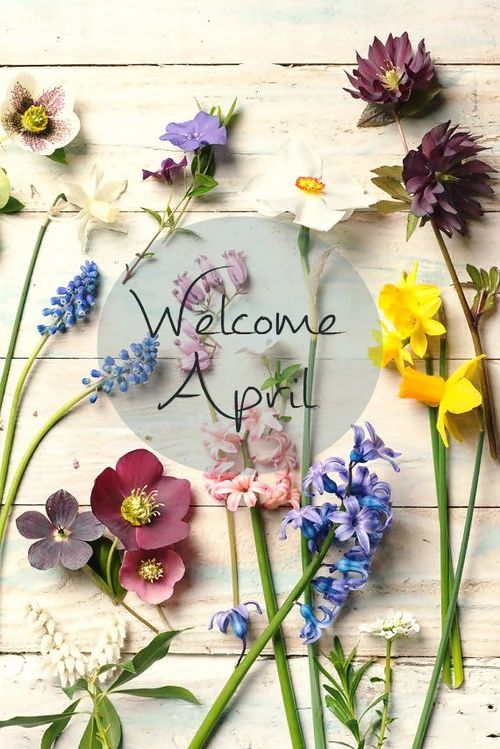 Привет апрель, красивые картинки и открытки (6)