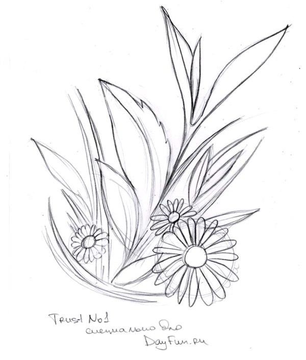 Цветы рисунок для детей карандашом (16)