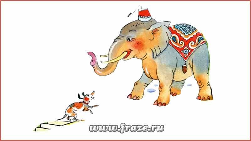 Картинка моська и слон (14)