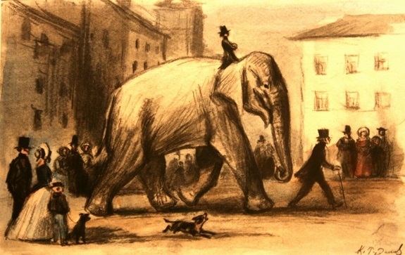 Картинка моська и слон (23)