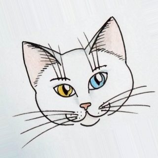 Лучшие картинки для срисовки кошки (12)