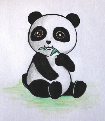 Нарисованные картинки панды (1)