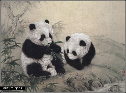 Нарисованные картинки панды (18)