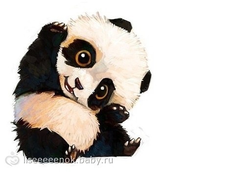 Нарисованные картинки панды (5)