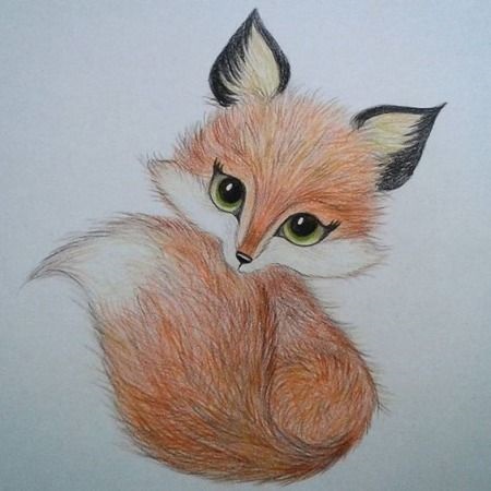 Рисунки карандашом милые животные   подборка (10)