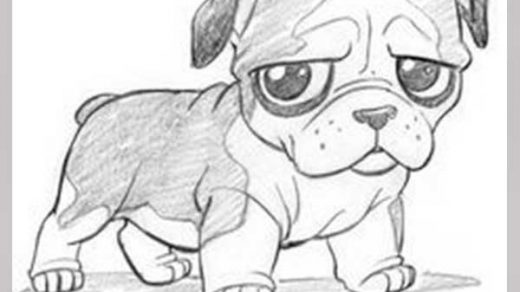 Рисунки карандашом милые животные   подборка (6)