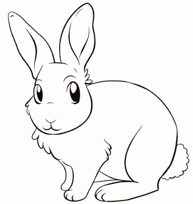 Рисунки кролики для детишек (14)
