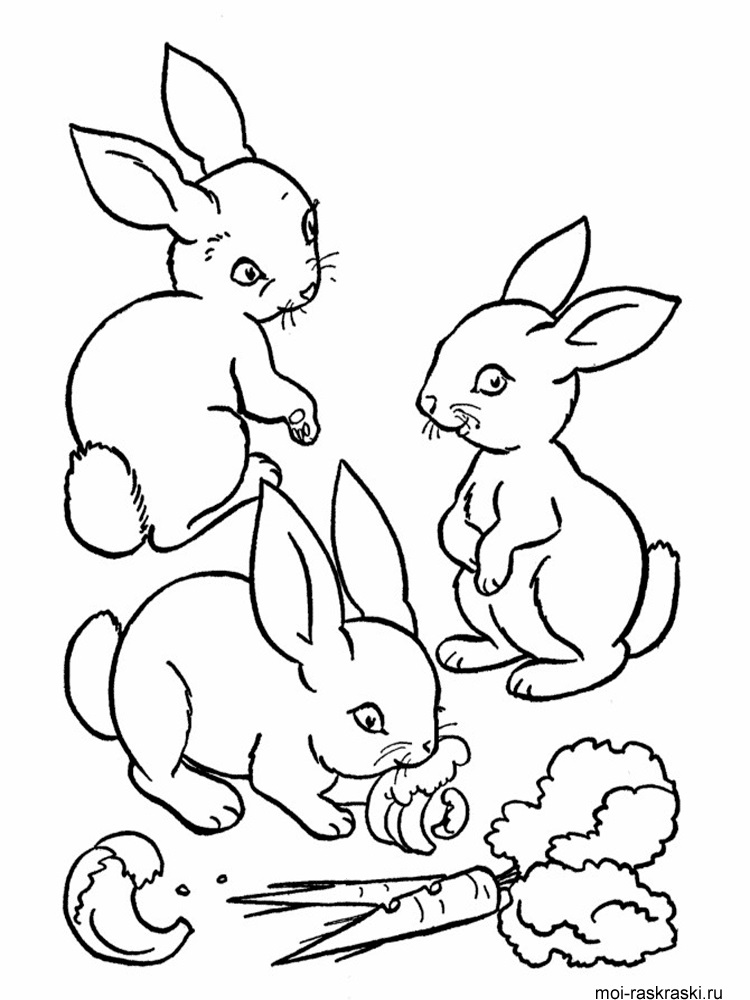 Рисунки кролики для детишек (25)