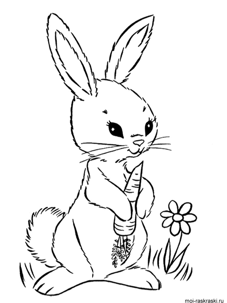Рисунки кролики для детишек (29)