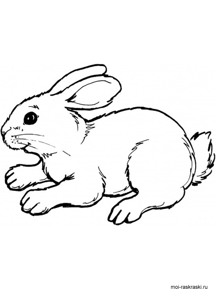 Рисунки кролики для детишек (5)