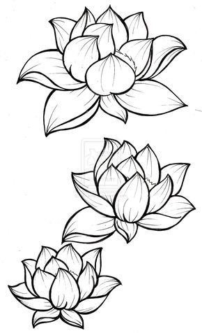 Рисунки цветов для срисовки цветные (12)