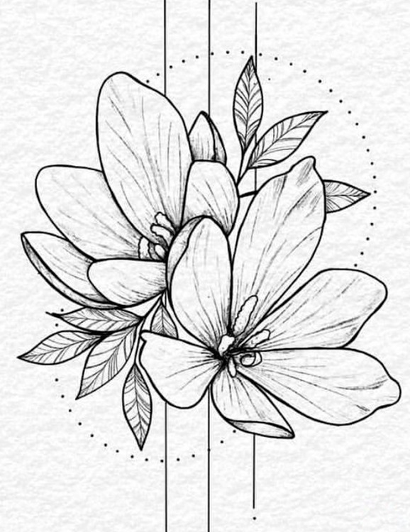 Рисунки цветов для срисовки цветные (22)