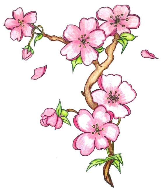 Рисунки цветов для срисовки цветные (5)