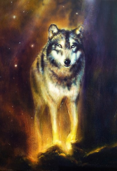 Волк красивые картинки (14)