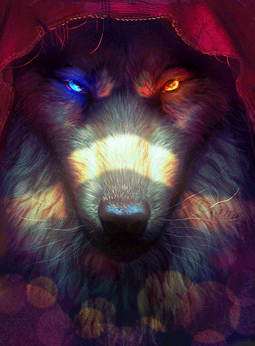Волк красивые картинки (24)