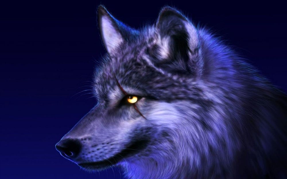 Волк красивые картинки (8)