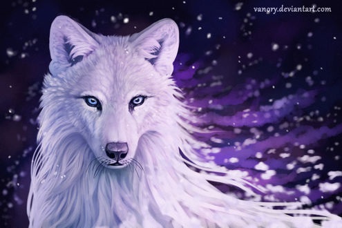 Картинки волк на аву (10)