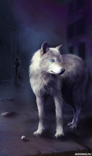 Картинки волк на аву (12)