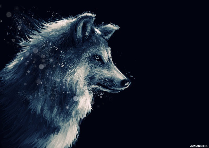 Картинки волк на аву (3)