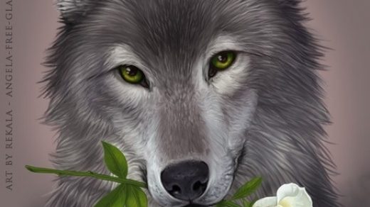 Картинки волк на аву (4)