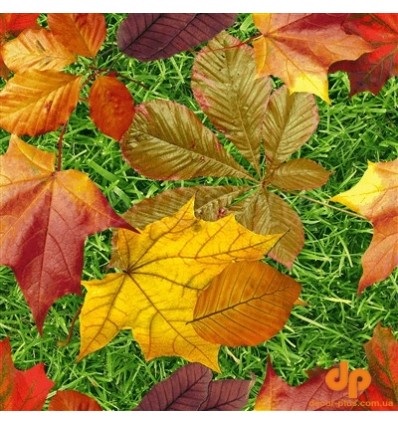 Осенние листья арт картинки (2)