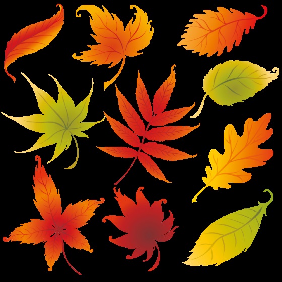 Осенние листья арт картинки (24)