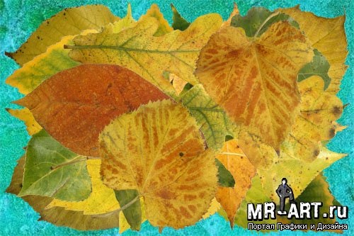 Осенние листья арт картинки (4)