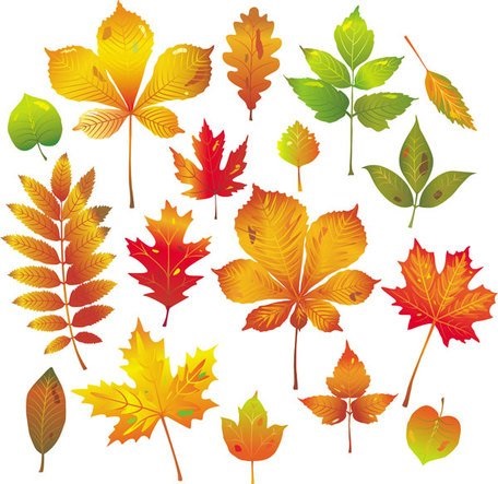 Осенние листья арт картинки (5)