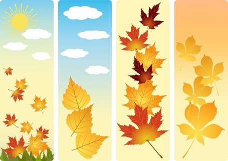 Осенние листья арт картинки (8)