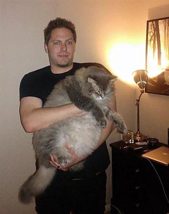 Популярные фото Павла Воли с котом (4)