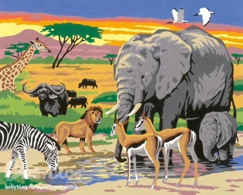 Рисунок для детей африка (2)