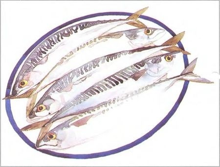 Рисунок рыба на тарелке (12)