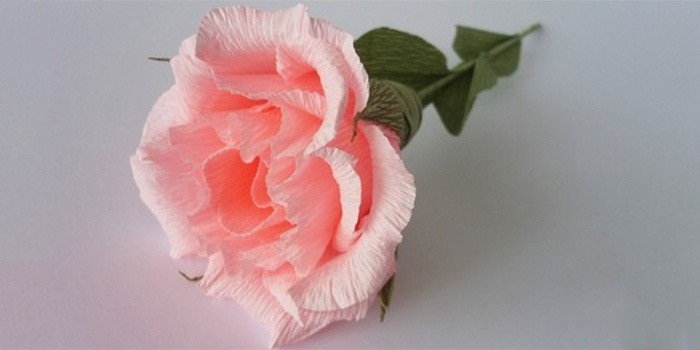 Розы из папиросной бумаги (14)