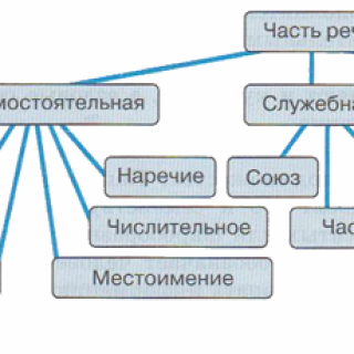Сколько частей речи в русском языке