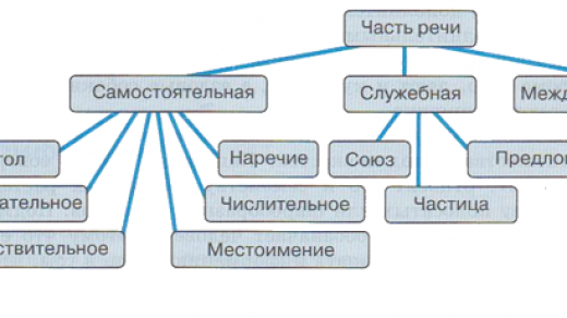 Сколько частей речи в русском языке