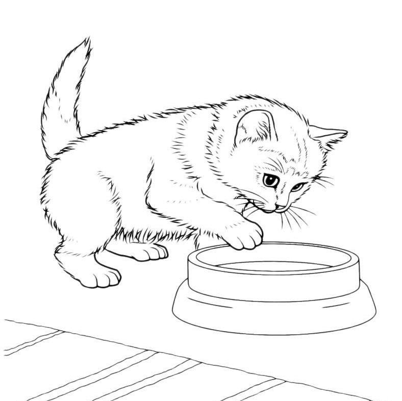 Картинки для срисовки котята милые (12)