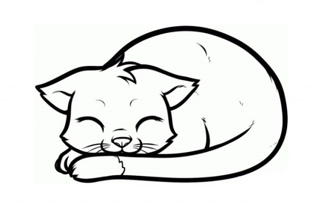 Картинки для срисовки котята милые (3)