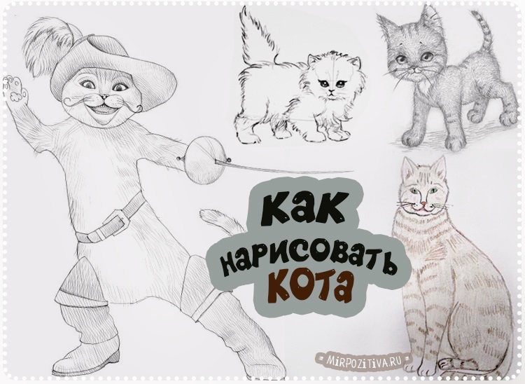 Невероятные срисовки котят (1)