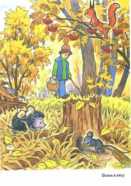 Осень в лесу красивые картинки для детей и родителей (21)