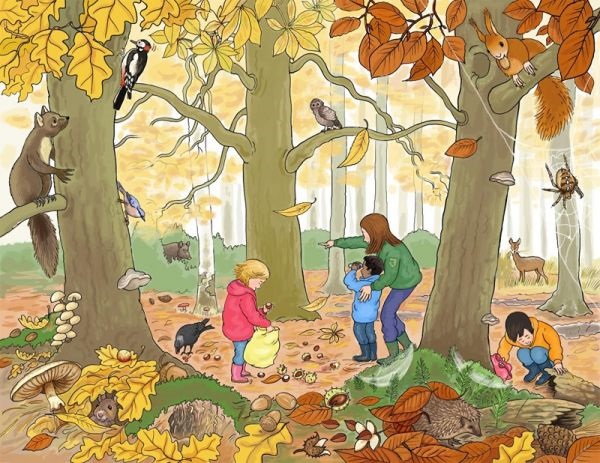 Осень в лесу красивые картинки для детей и родителей (23)