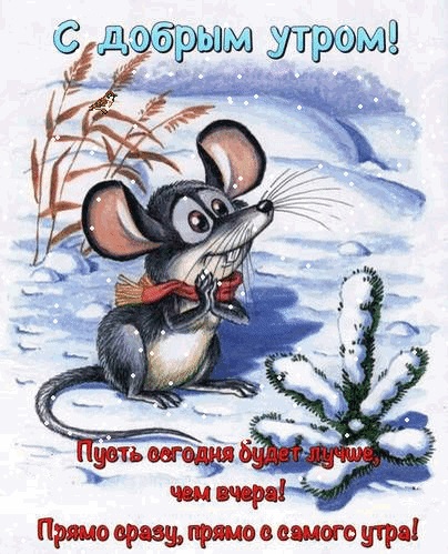 Мышка доброе утро красивые открытки с пожеланиями (11)