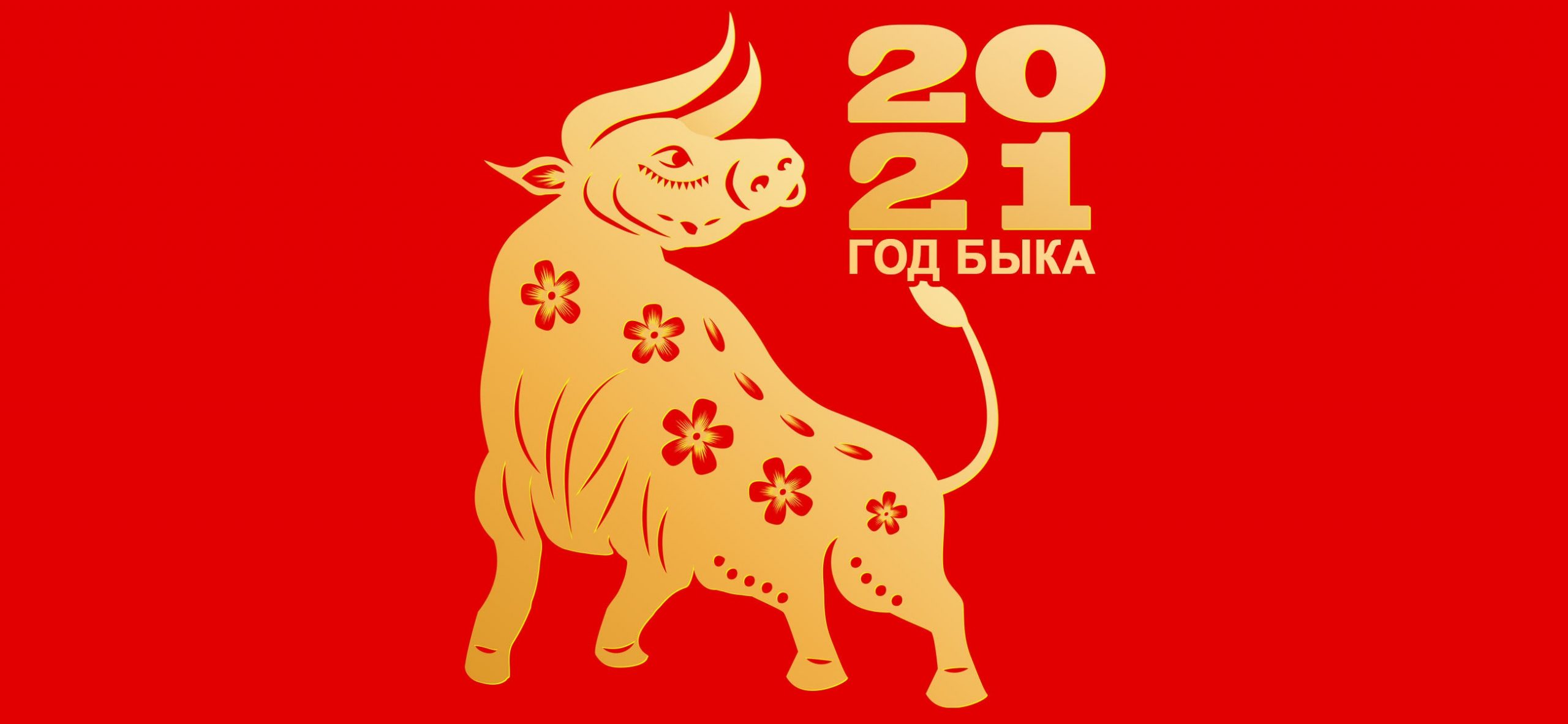 Новогодние обои быка на 2021 год   подборка картинок (8)