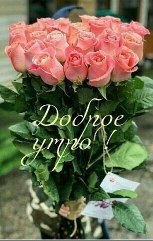 Доброе утро с розами красивые открытки для любимых (1)