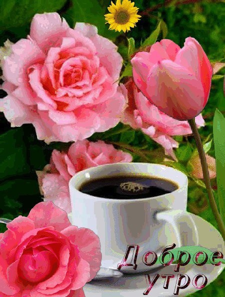 Доброе утро с розами красивые открытки для любимых (12)