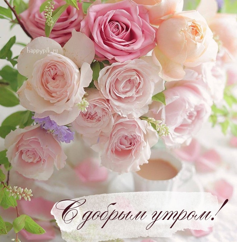 Доброе утро с розами красивые открытки для любимых (3)
