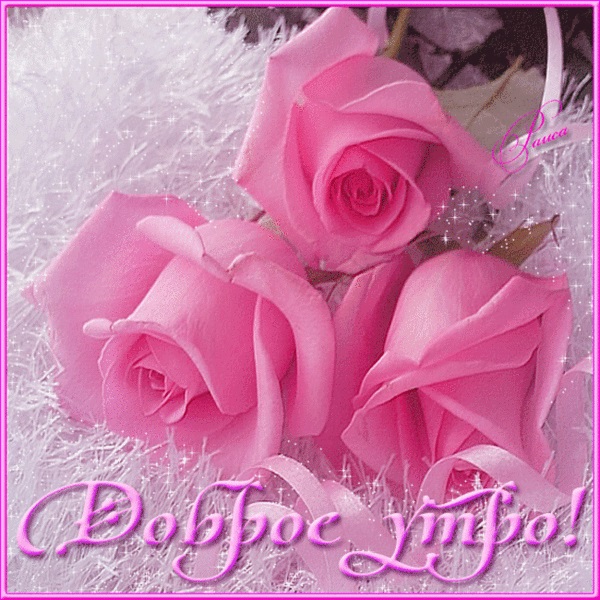 Доброе утро с розами красивые открытки для любимых (6)