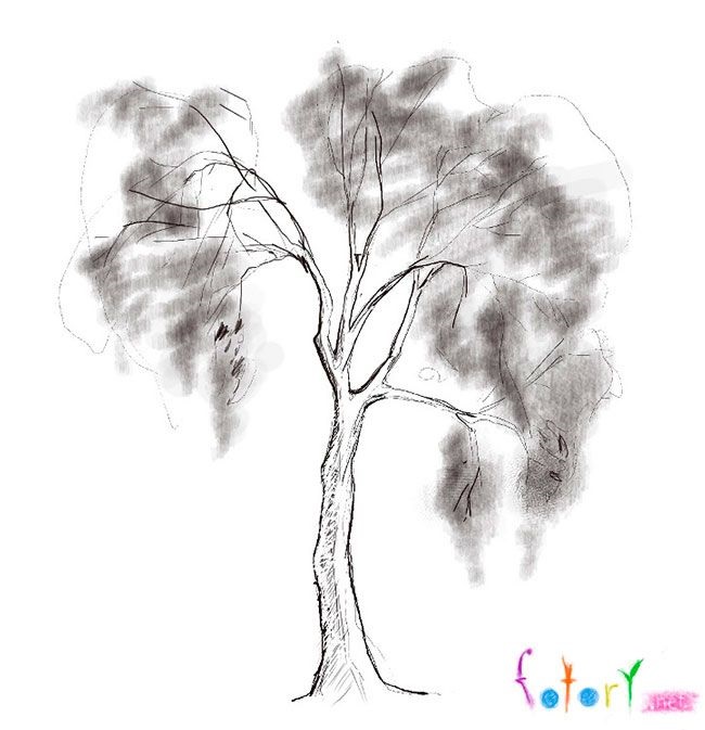 Волшебное дерево нарисовать карандашом, идеи (13)