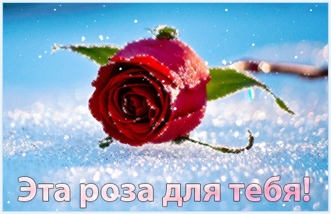 Для тебя розы   самые милые открытки букеты для девушек (13)