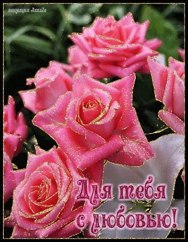 Для тебя розы - самые милые открытки букеты для девушек (23)