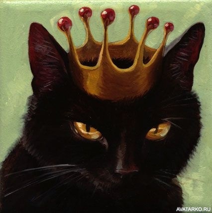 Классные картинки на аву черная кошка (24)
